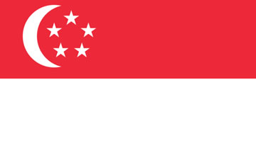 中国至新加坡海运/空运服务